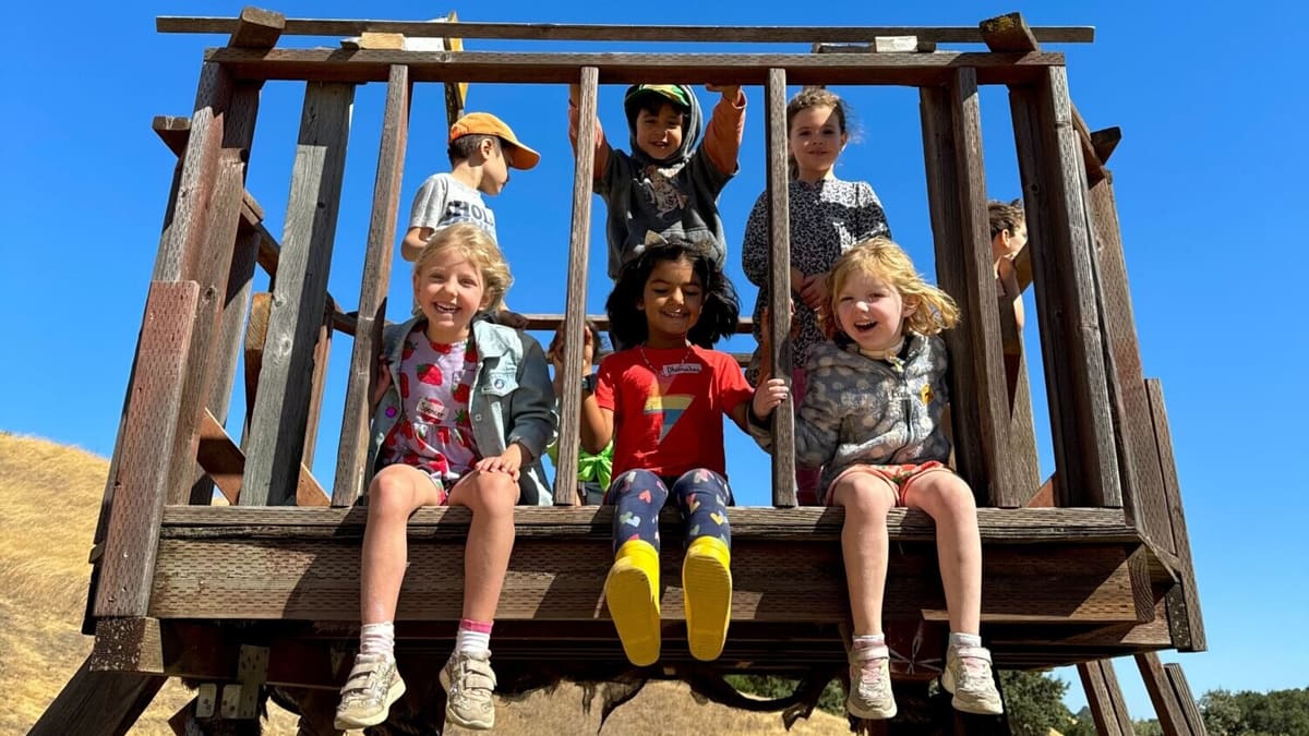 Children sitting and standing on a wooden lookout platform on a golden hillside
